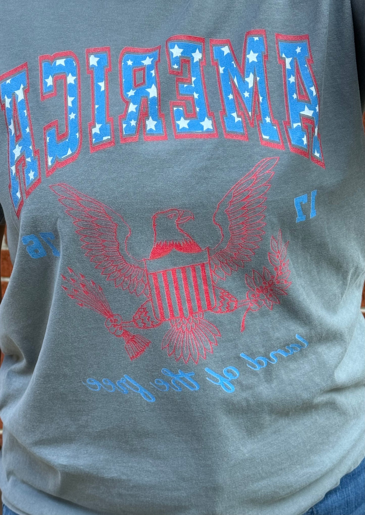 The Land of the Free Tee